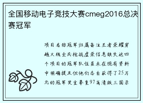 全国移动电子竞技大赛cmeg2016总决赛冠军